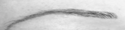 Brauen 02-g-sw