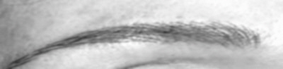 Brauen 03-g-sw