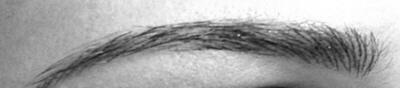 Brauen 04-g-sw